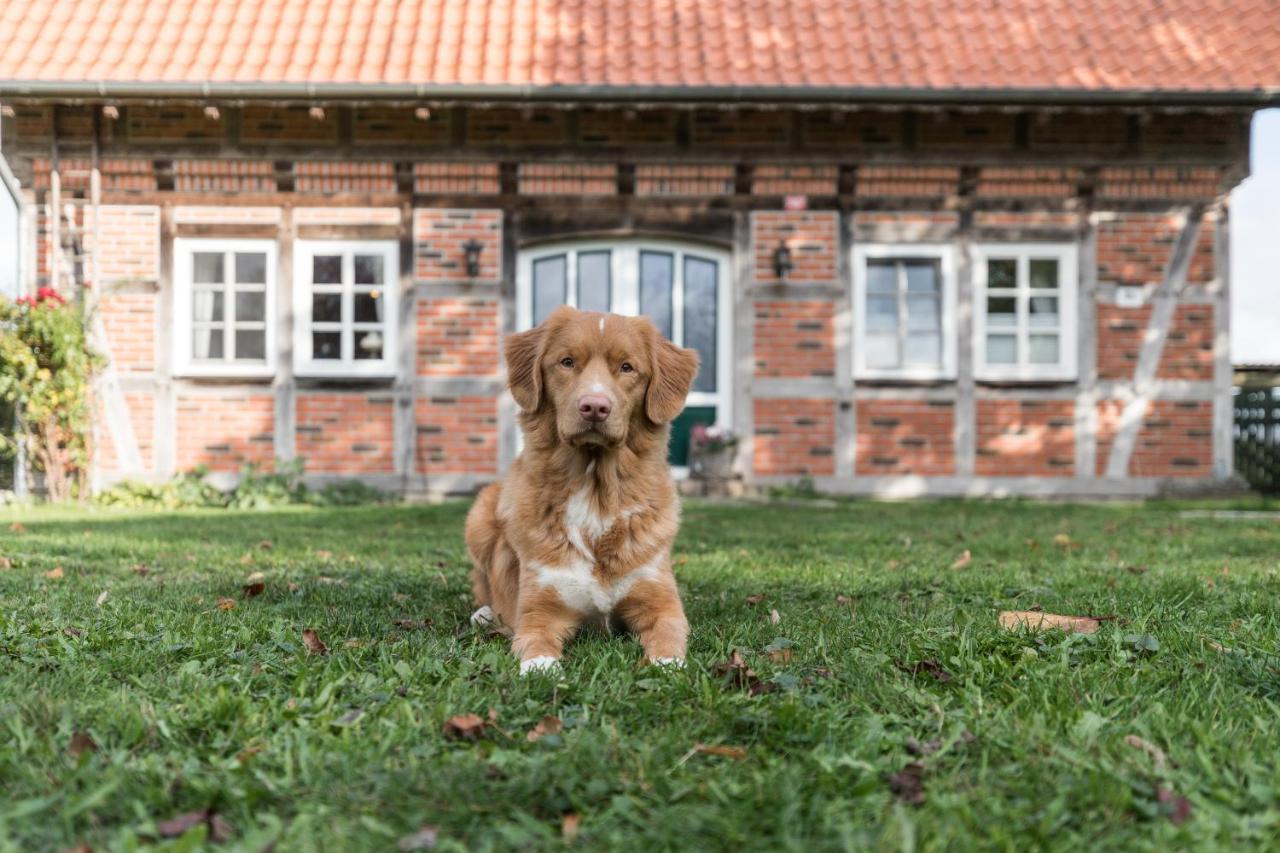 Fachwerk-Ferienhaus, Ruhe Auf Dem Land, Haustiere Willkommen, Leihfahrraeder, 24-7 Check In Kirchlinteln Exterior foto